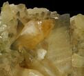 Golden Calcite Crystal Cluster - Morocco #115199-3